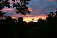 DSCF0146
