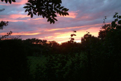 DSCF0151