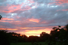 DSCF0152