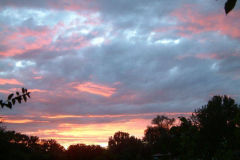 DSCF0153