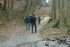 DSCF0053