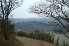 DSCF0075