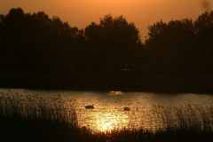 DSCF0117