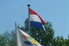 DSCF0342