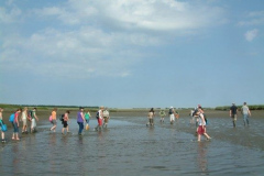 DSCF0106
