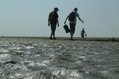 DSCF0153