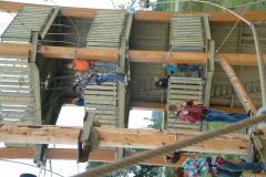 DSCF0215