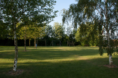 SONY DSC