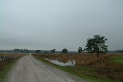 DSCF0074