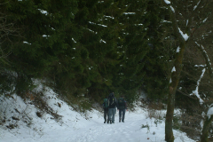 DSCF0047