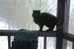 DSCF0135