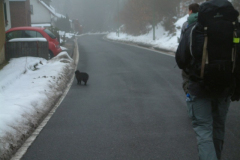 DSCF0141