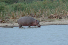 DSCF0934