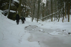 DSCF0284