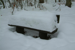 DSCF0292