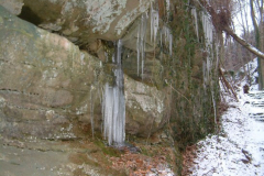 DSCF0039