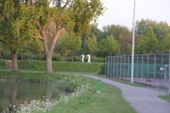 IMG_0617