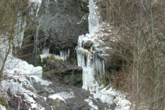 DSCF0078