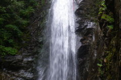 IMGP8195