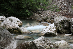 IMG_0747
